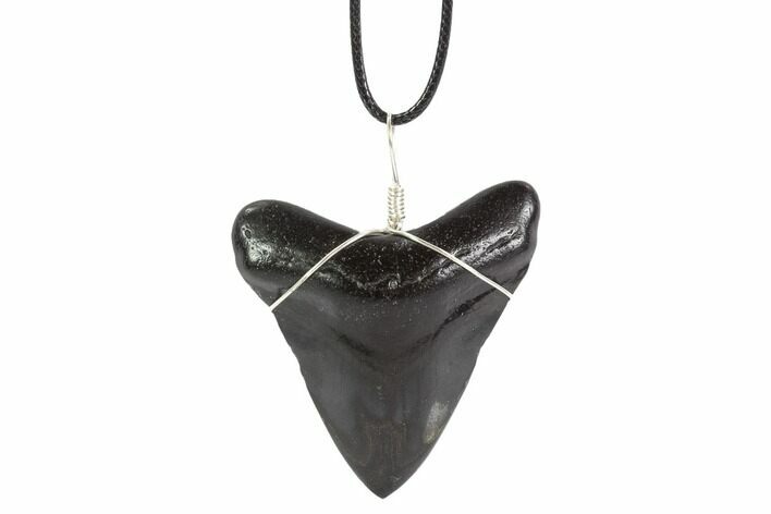 Fossil Megalodon Tooth Necklace #95236